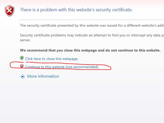 Accept certificate error in Internet Explorer